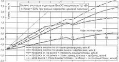 Оценка эффективности возможных ценовых схем поддержки БиоЭС. на основе отходов животноводства