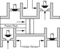 Circulating System