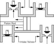 Circulating System