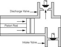 Circulating System