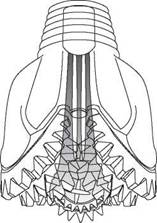 Fluid Circulation