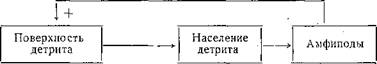 &#171;Легкая&#187; жизнь на границе фаз