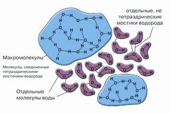 Как ведет взаимодействие талая вода и согретая в консистенции?