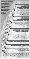 Реликтовая вода и долгожительство