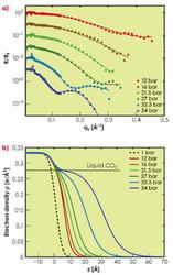 Revealing the hydrate formation process at the water-CO2 interface