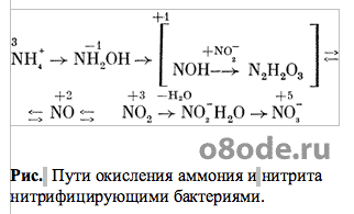 Вред средств против оледенения, используемых на дорогах