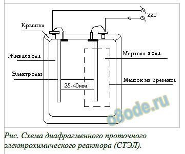 Россион-Дельфин: структурирование воды